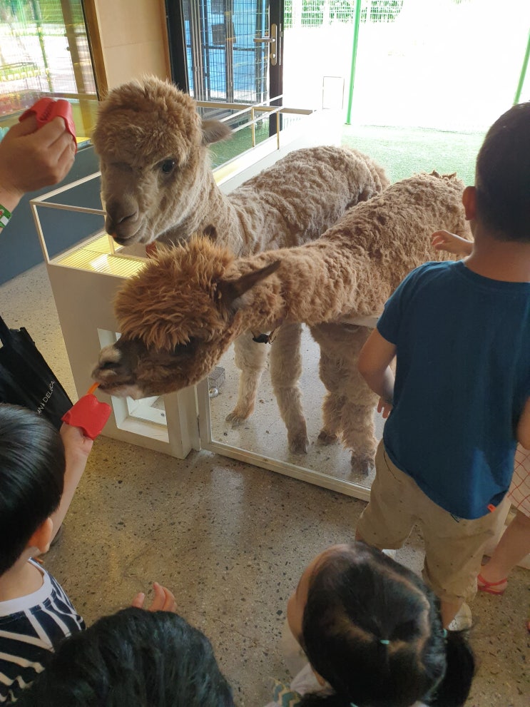 [동물농장추천]하남 쥬라리움