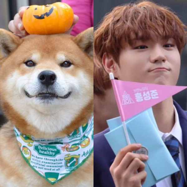  프로듀스x101 브랜뮤직 홍성준 이은상 김시훈 윤정환 에버랜드에서 달콤한 휴식~귀염주의 ㅎㅎㅎ