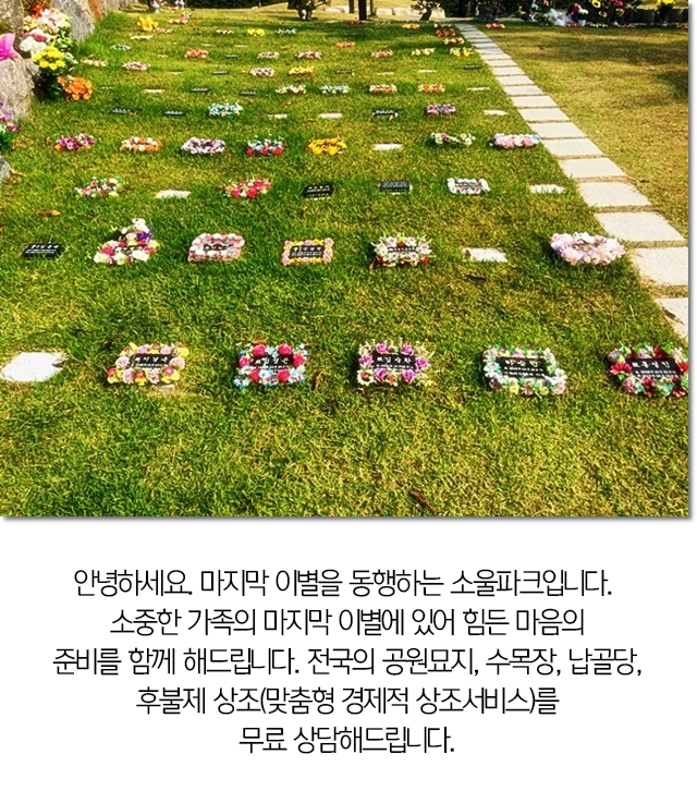  수목장나무 영면의 할인 소울파크