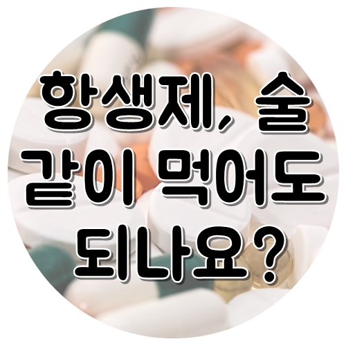  항생제 먹고 술 이나 맥주 마셔도 되나요?
