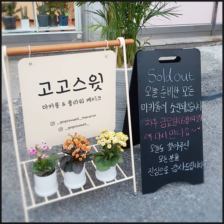  성남 뚱카롱, 맛있는 뚱카롱먹으러 고고스윗마카롱으로 고고~