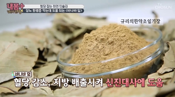  혈관건강,당뇨 합병증, 비만에 좋다! 바나바잎 효능 바나바잎추출분말 추출물 부작용
