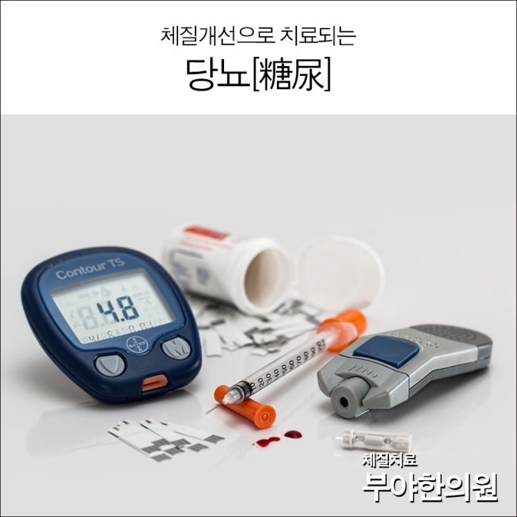  체질개선으로 당뇨를 치료 하자[부야한의원 & 태양인이제마한의원]