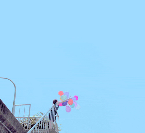  레몬나무의 레티