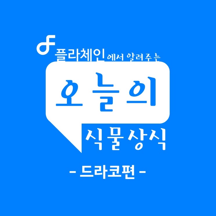 소자본창업은 플라체인에서! 플라체인에서 알려주는 오늘의식물상식 - 드라코 편