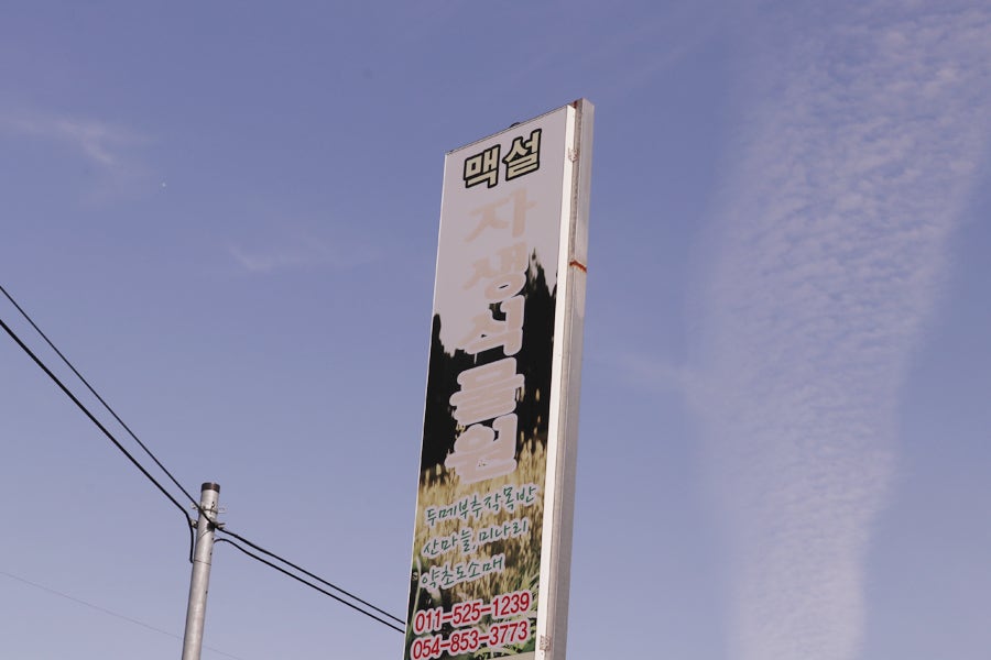 맥설자생식물원 사진 2