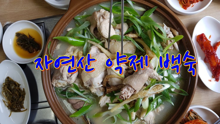  자연산 약재를 사용한 백숙 잘하는집 색장동 호림이네 전주 맛집 인정