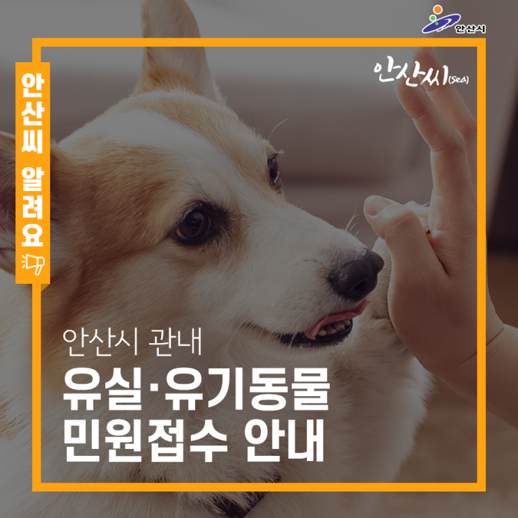  안산시 관내 유실•유기동물 민원접수 안내