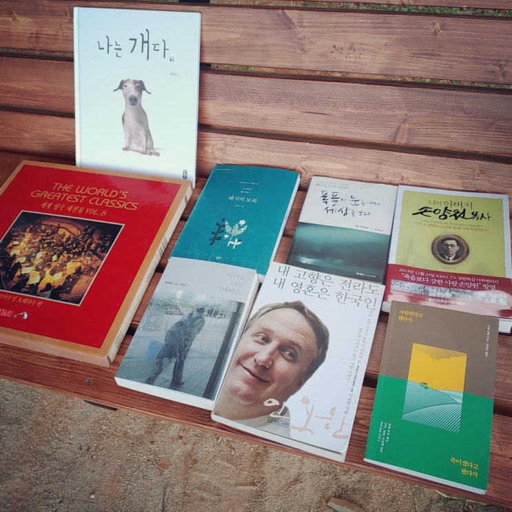  이후북스테이 책장