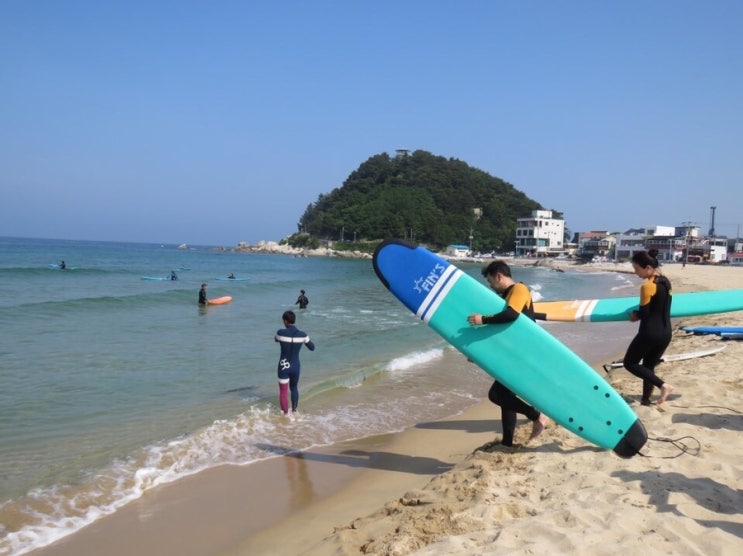  양양서핑 핀스서프 서핑배우기 / 첫 서핑 시작