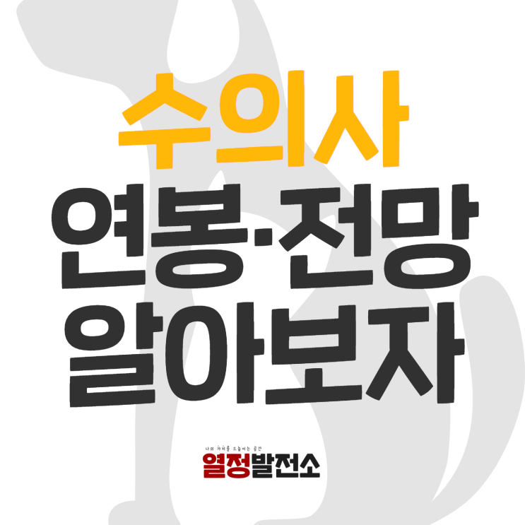  수의사 연봉과 전망 시험 준비방법! 동물을 사랑하는 마음으로 알아봐요!