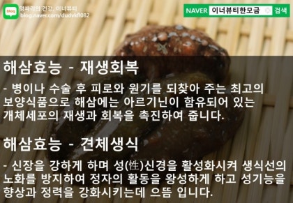 해삼의 건강상의 이점에 대해 알아보겠습니다.