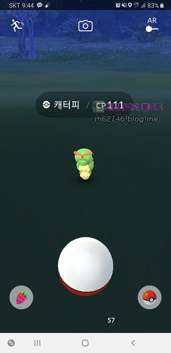  포켓몬고 캐터피의 cp가?