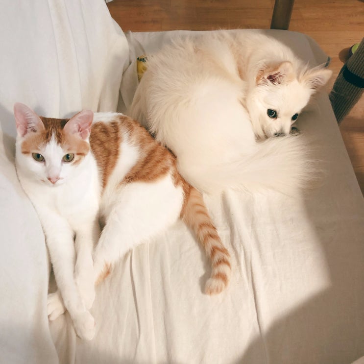 지금이 근황