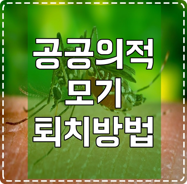  여름의 공공의적 모기 퇴치방법