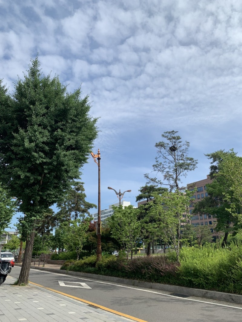 유희열의 스케치북 방청 후기 / 유희열의 스케치북 노래방 특집 동전 하나, 노래 하나 / 유희열의스케치북 자유석 : 네이버 블로그