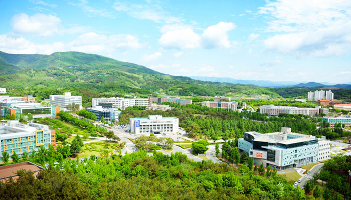  2019 대구대 수시등급 / 2020 수시전형 안내