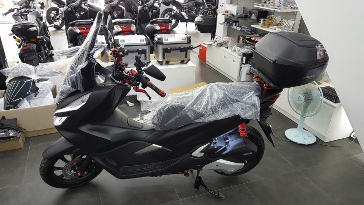  강남점 / 엘앤비 모터스/2019 PCX125 신차 출고/ 월드 베스트셀러 PCX 프로모션 / 신차 프로모션 / 즉시 출고 가능
