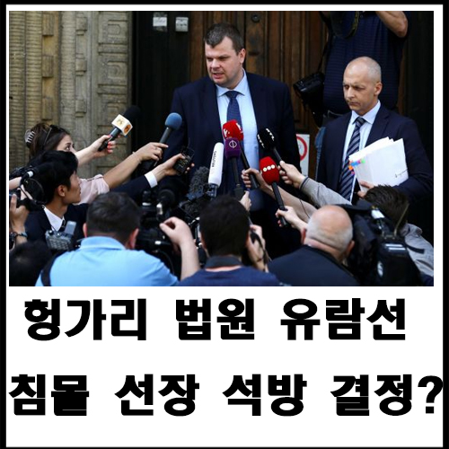  헝가리 법원 유람선 침몰 선장 석방 결정?