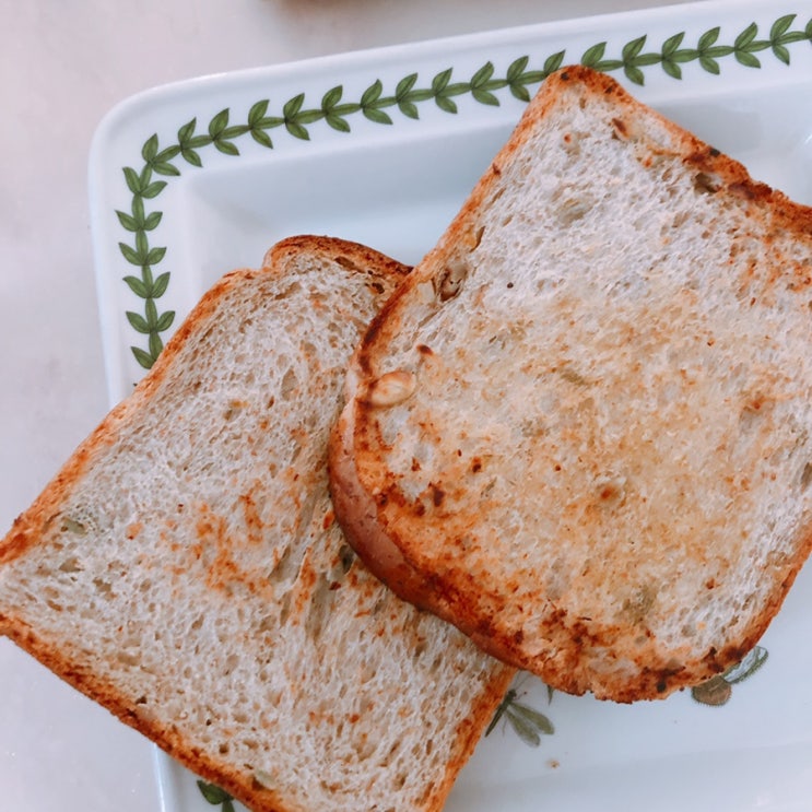  몸관리데이_