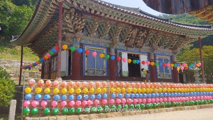  전남 강진 팸투어 - 건대여행작가과정 7기 졸업여행(4)-주작산휴양림, 다산초당, 백련사