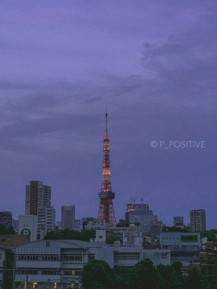  먹으러 간 토키오 걸 [TOKYO¹] _아이폰 X