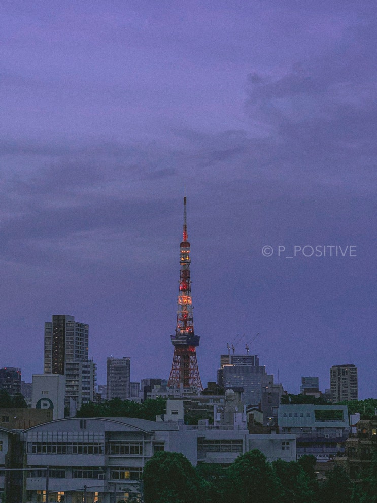 먹으러 간 토키오 걸 [TOKYO¹] _아이폰 X