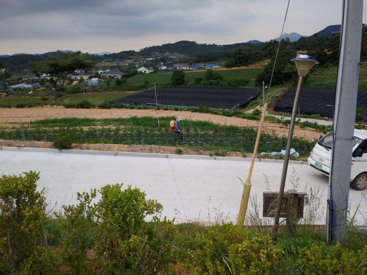  며칠 전 이웃형님부부와 함께 오랜만에 저녁을 함께 하자하시기에 간월도에서 아나고탕을 먹고 왔습니다.