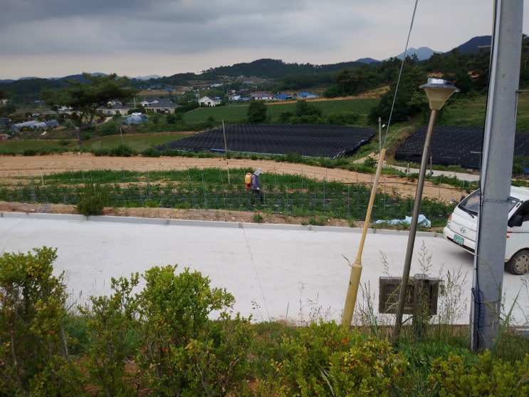 며칠 전 이웃형님부부와 함께 오랜만에 저녁을 함께 하자하시기에 간월도에서 아나고탕을 먹고 왔습니다.