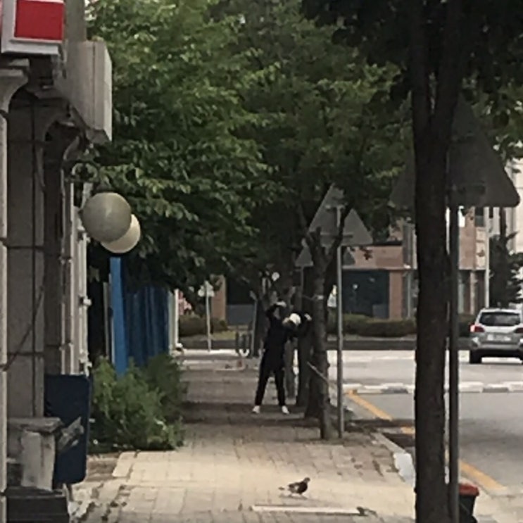  아침산책