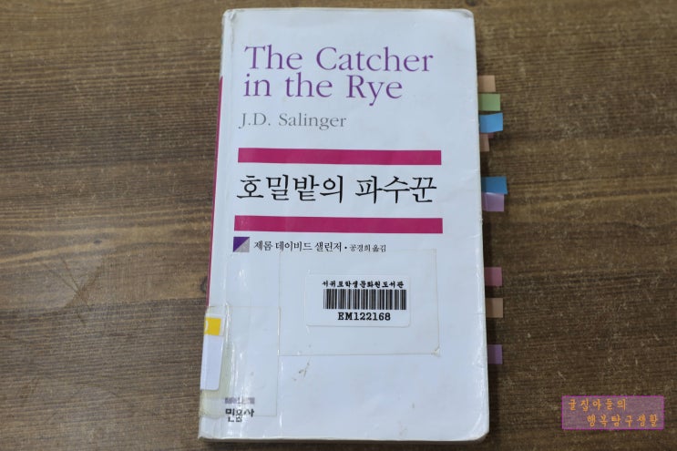 호밀밭의 파수꾼 - 제롬 데이비드 샐린저