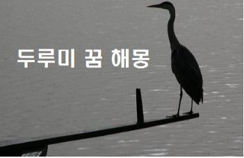  두루미꿈 해몽 두루미 태몽