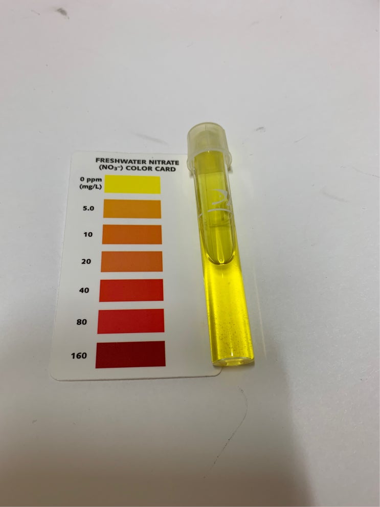  API 질산염 (NO3) 테스트킷 (Test Kit) 리뷰