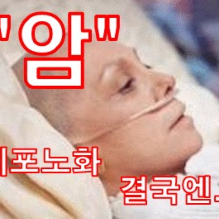  번개장터 #천연항암제#면역력유산균#비타민다이어트#만능쥬스