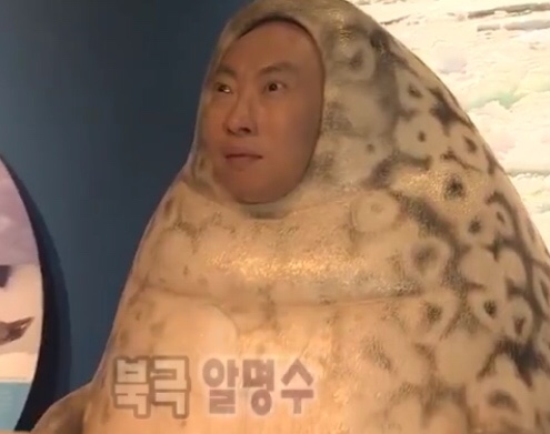  점점 잊어가는 블로그 쓰기 ...️