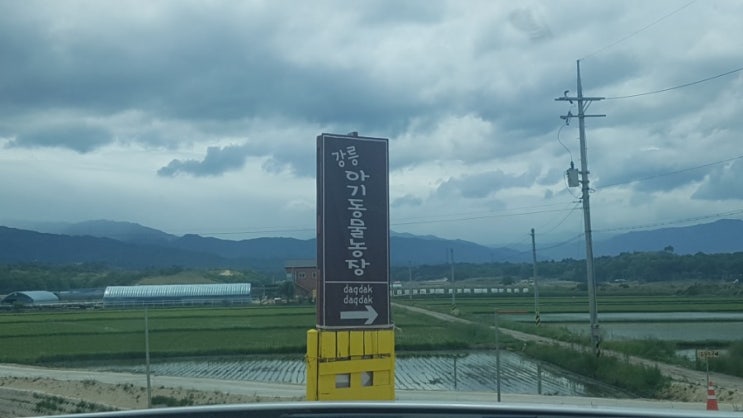  강릉 아기동물농장, 생각보다 규모가 커요