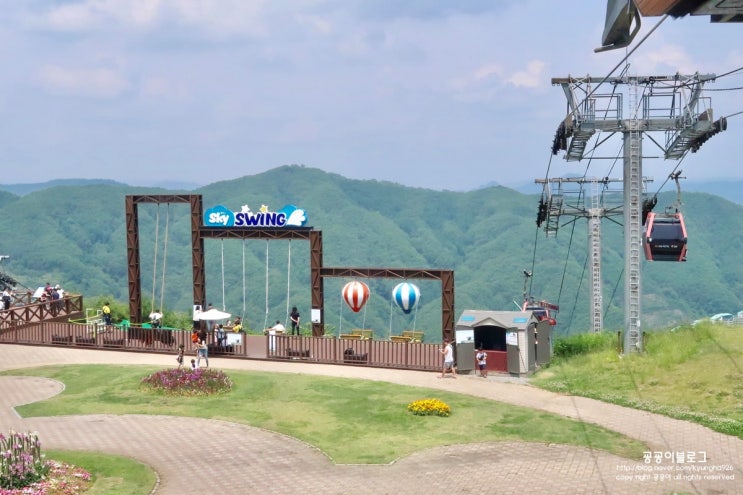 홍천 비발디파크 곤돌라 & 스카이스윙