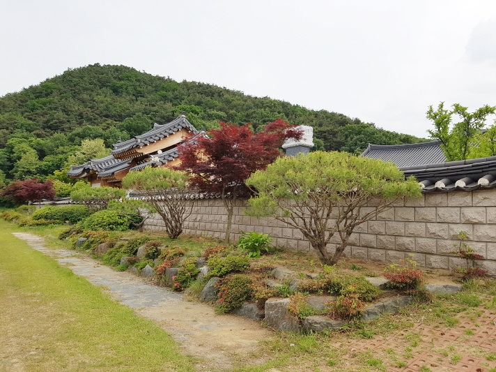  ｀구미 보림조경에서 반송 전정작업 다녀오다。