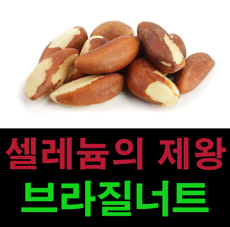  브라질너트 파는곳 셀레늄 효능과 먹는법(브라질넛트 보관방법과 가격)