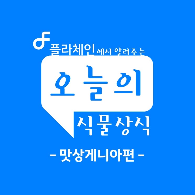  꽃배달창업은 역시 플라체인! 플라체인에서 알려주는 오늘의 식물상식 - 맛상게니아편