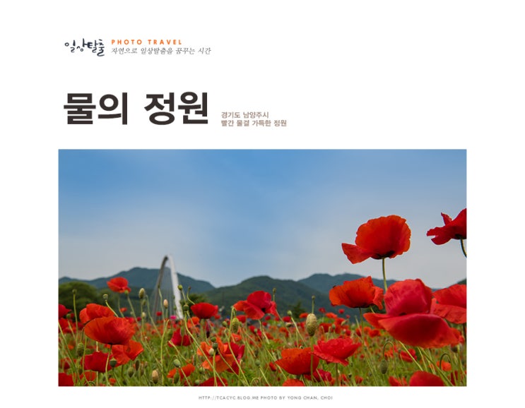  남양주 물의 정원 양귀비의 유혹이 가득한 세상