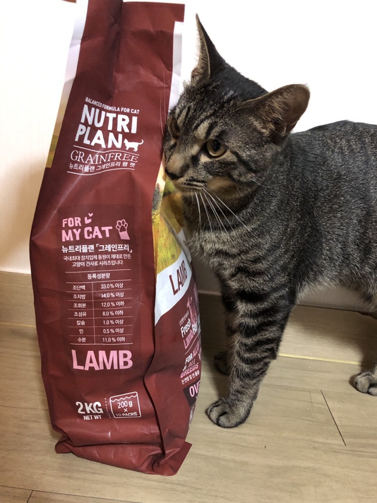 [뉴트리플랜] 육식동물 고양이를 위한 그레인프리 램 캣 리뷰