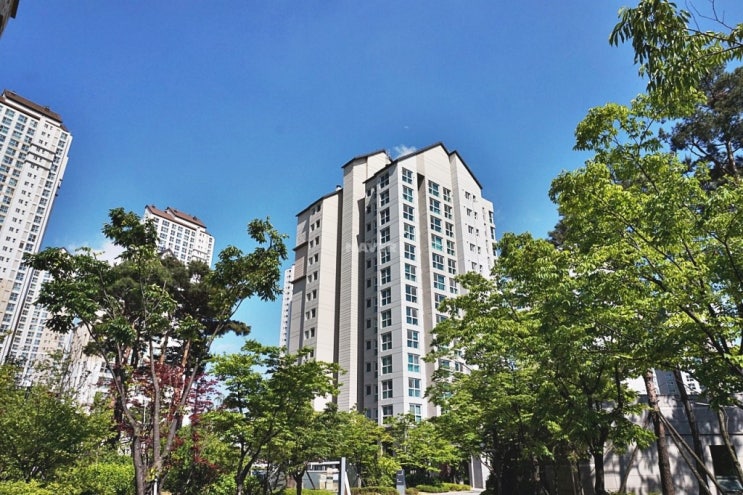  광교 자연앤자이 47C 타입 5206동 31층 3000/200 회사 or 외국인(미군) 입주 시 1000/200가능