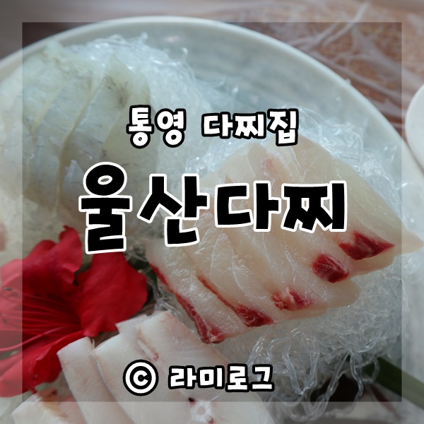  통영 다찌집 울산다찌 오션뷰에 해산물 한상 푸짐하다