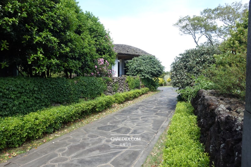 사진 3