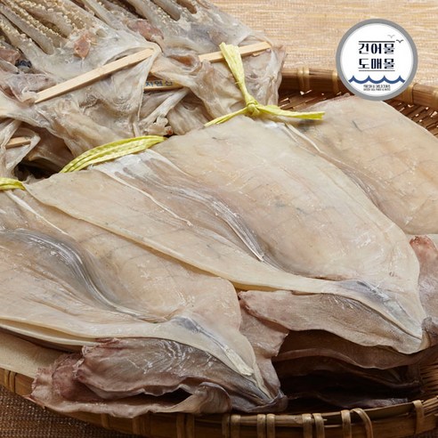  건어물도매몰 북촌 햇 마른오징어 20미 한축 1.0kg 이상