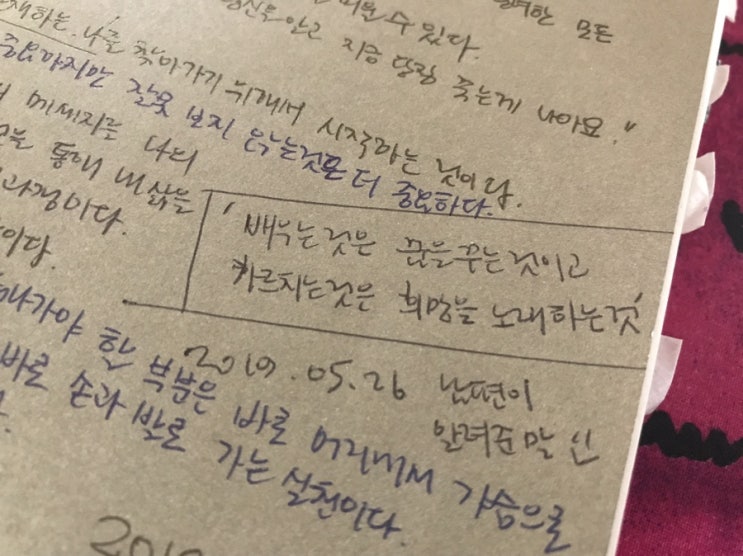  꿈꾸지 않으면 ( 조이현 ) - 간디학교 교가 / 꿈 - 배움 - 가르침 / 예쁜약국 