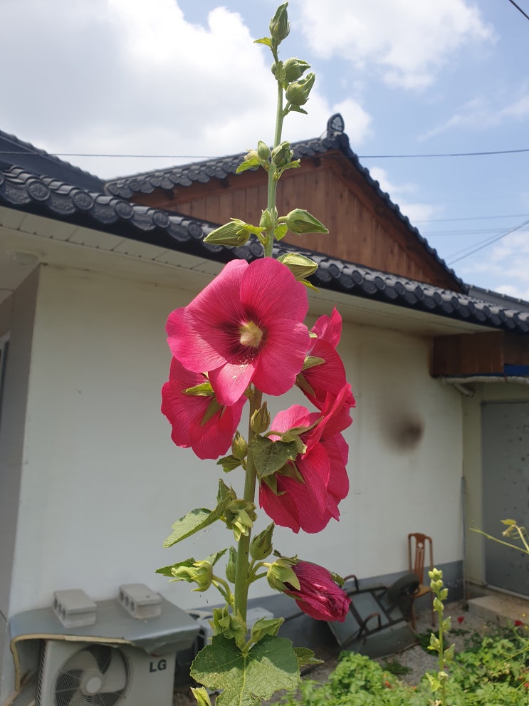  아들 군입대로 #충남논산을  두번째 방문하다.