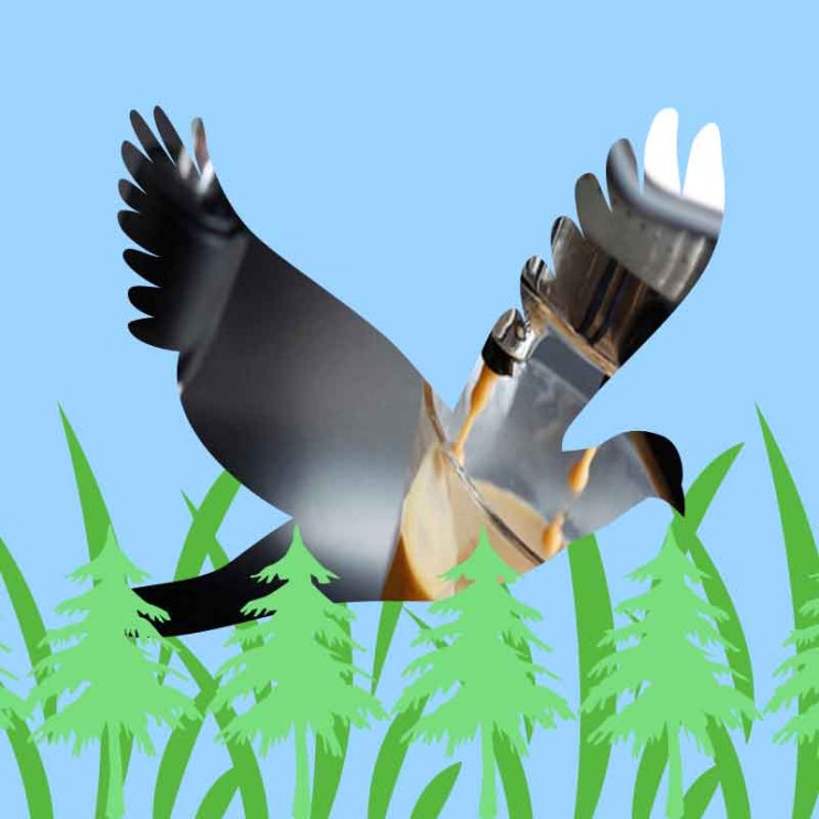  정글의 법칙 in 코스타리카 알아보기