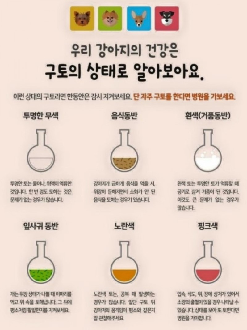 또치의 노란토, 쌀죽으로 해결♡ (강아지 닭죽, 야채죽, 쇠고기죽 간단하게 만들기) : 네이버 블로그